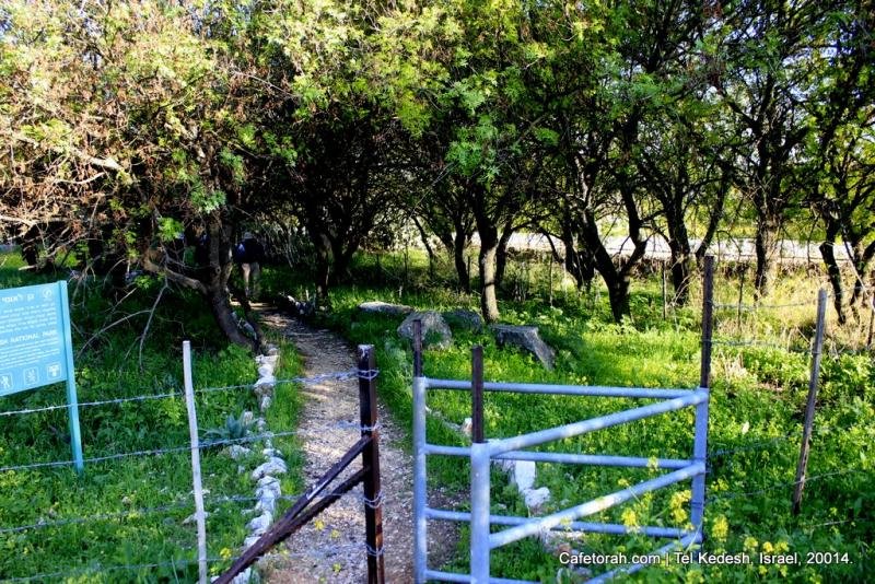 Tel Kedesh Cades Ramat Naftali Naftali Upper Galilee