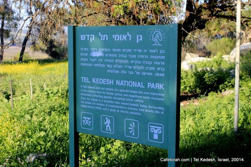 Tel Kedesh Cades Ramat Naftali Naftali Upper Galilee