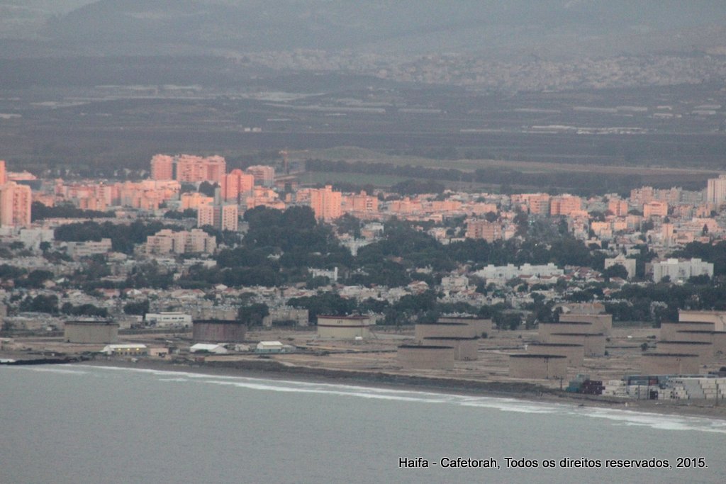 Haifa
