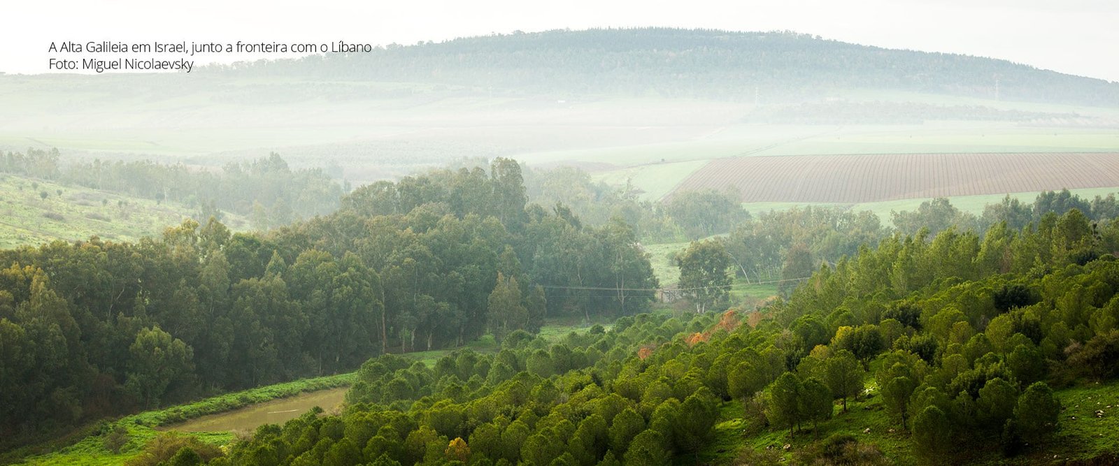 alta galileia