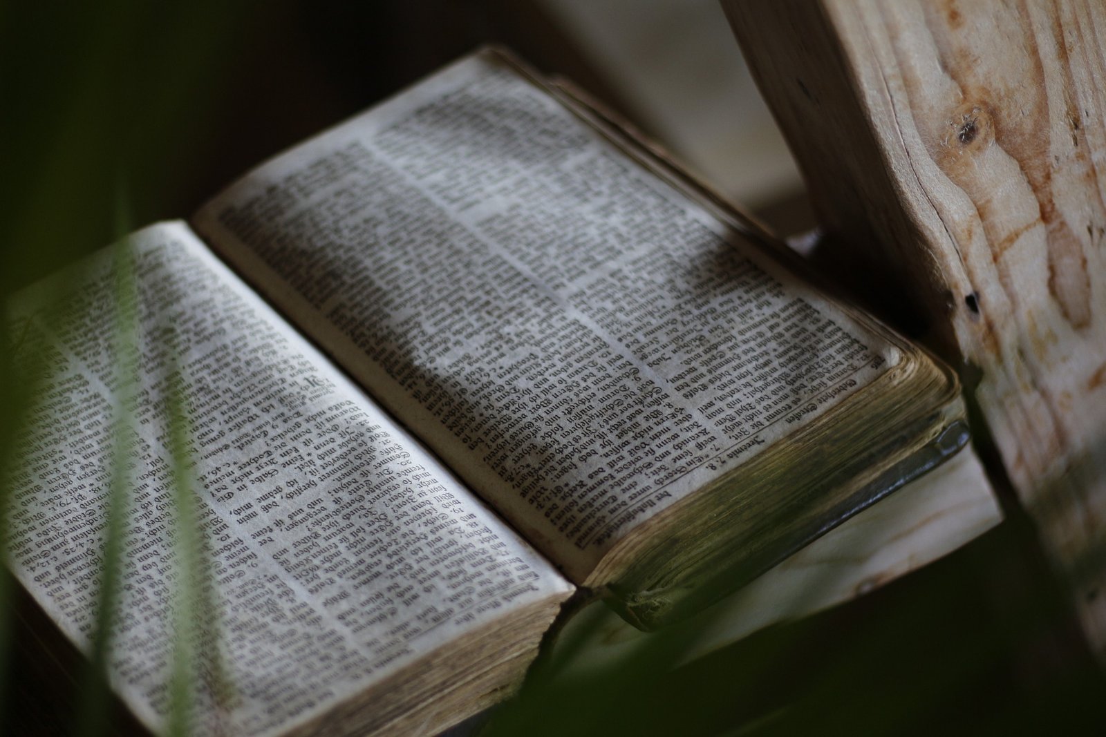 bible