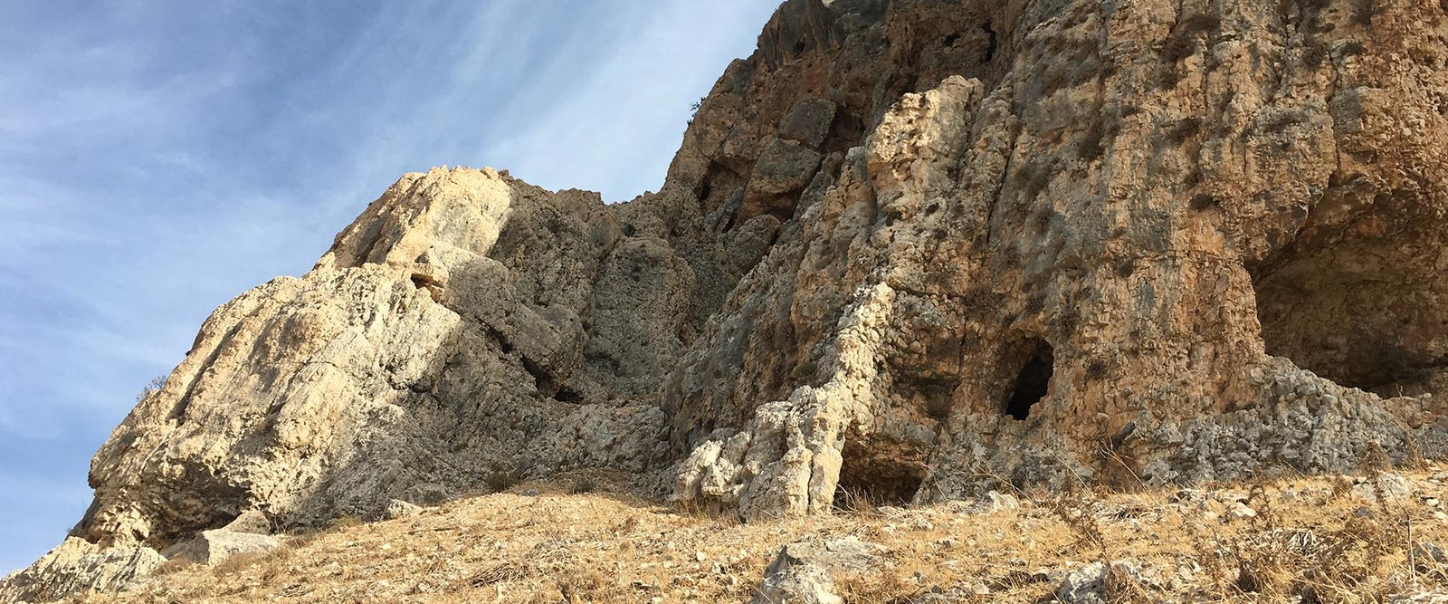 arbel-cafetorah-2
