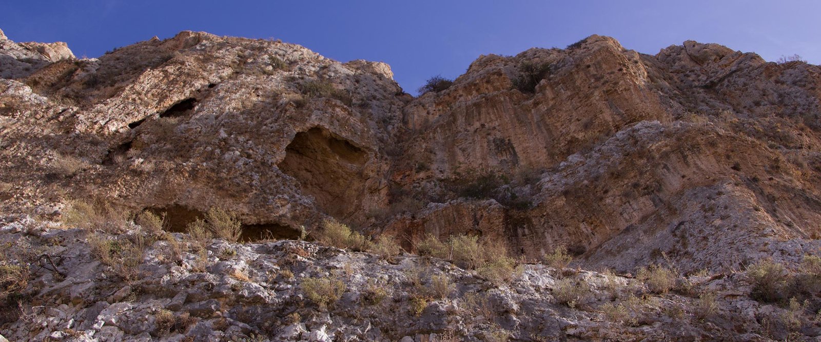 arbel-cafetorah3