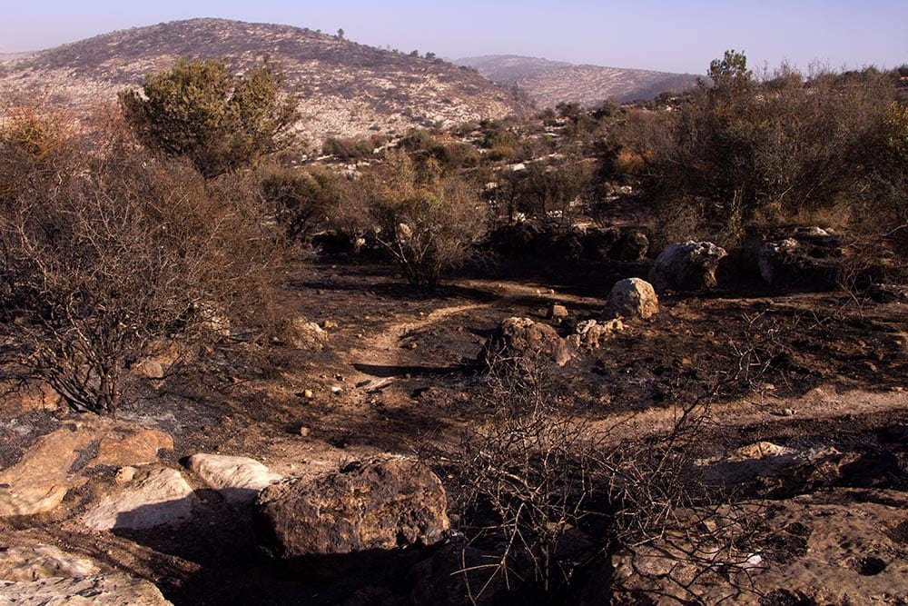 Incêndios em ISRAEL