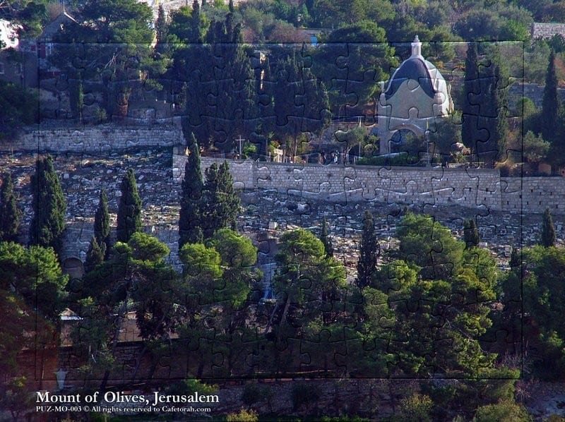 Quebra Cabeças Monte das Oliveiras Jerusalem