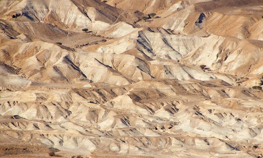 deserto