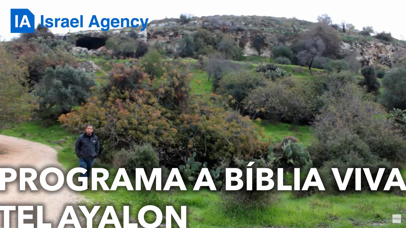 AYALON ia