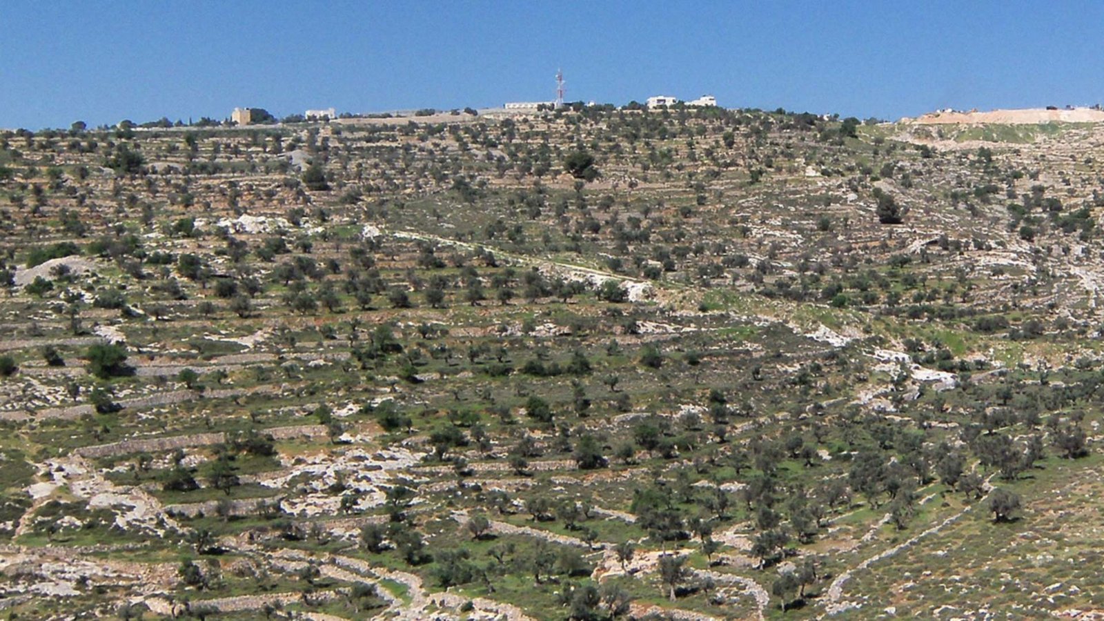 samaria