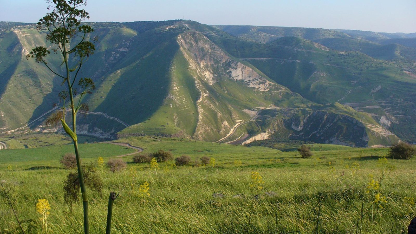 golan