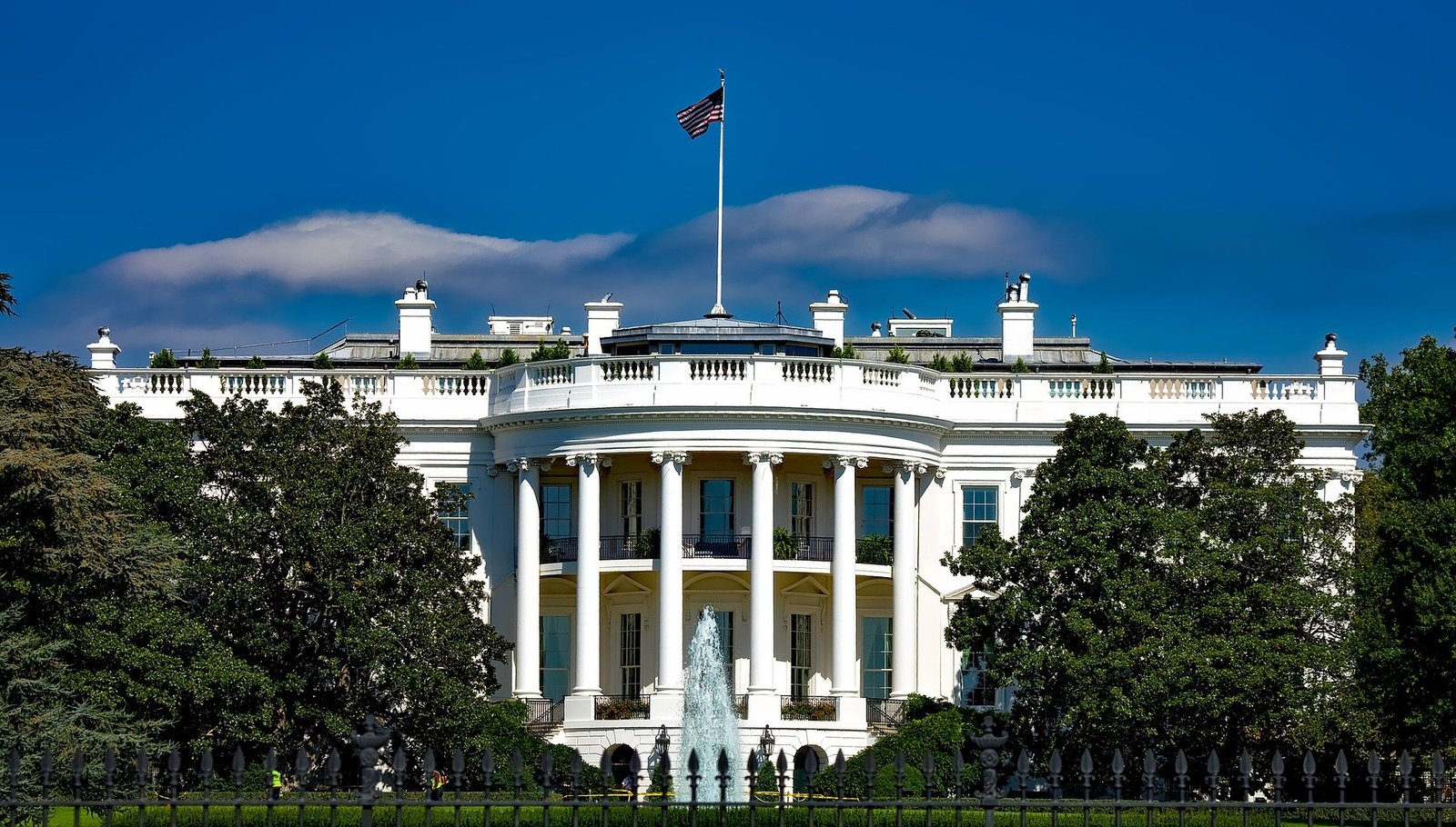 the white house
