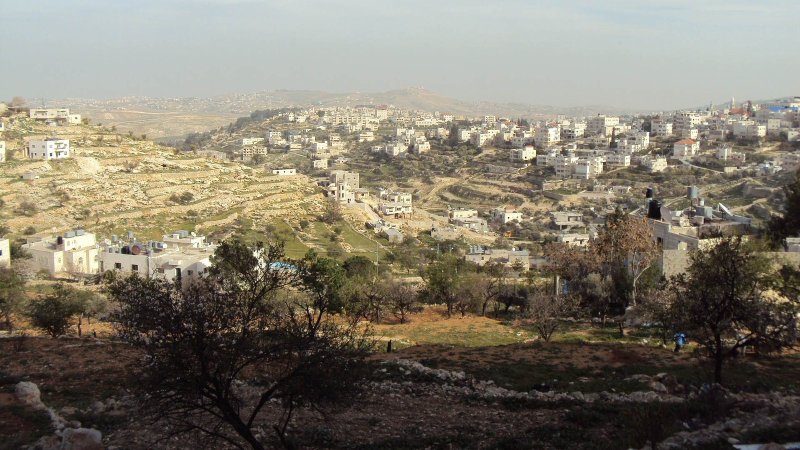 palestine