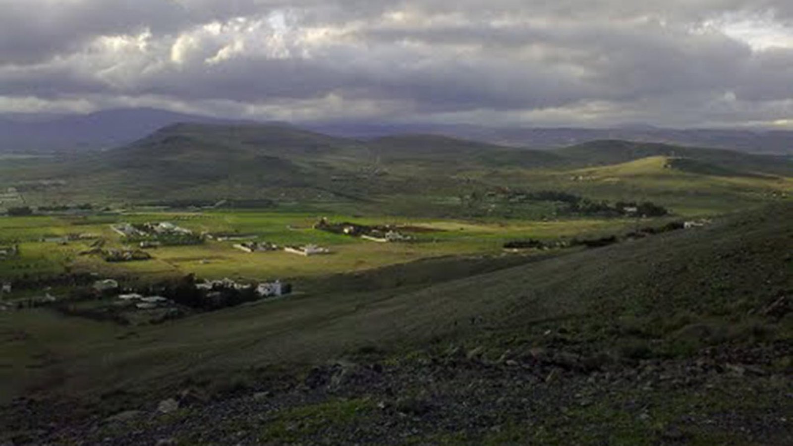 Al Kiswah farms