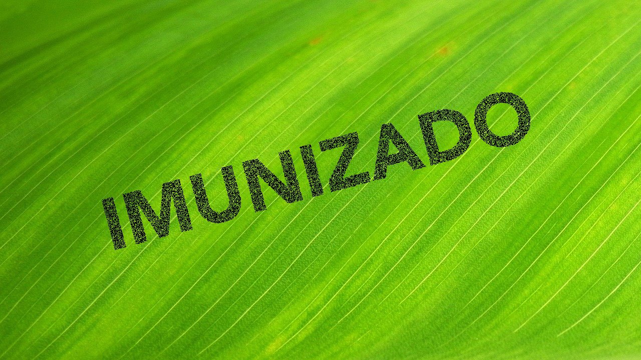 IMUNIZADO