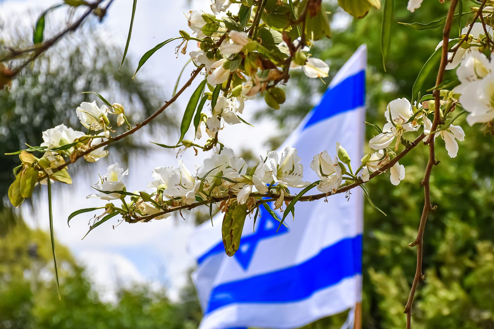 israeli flag