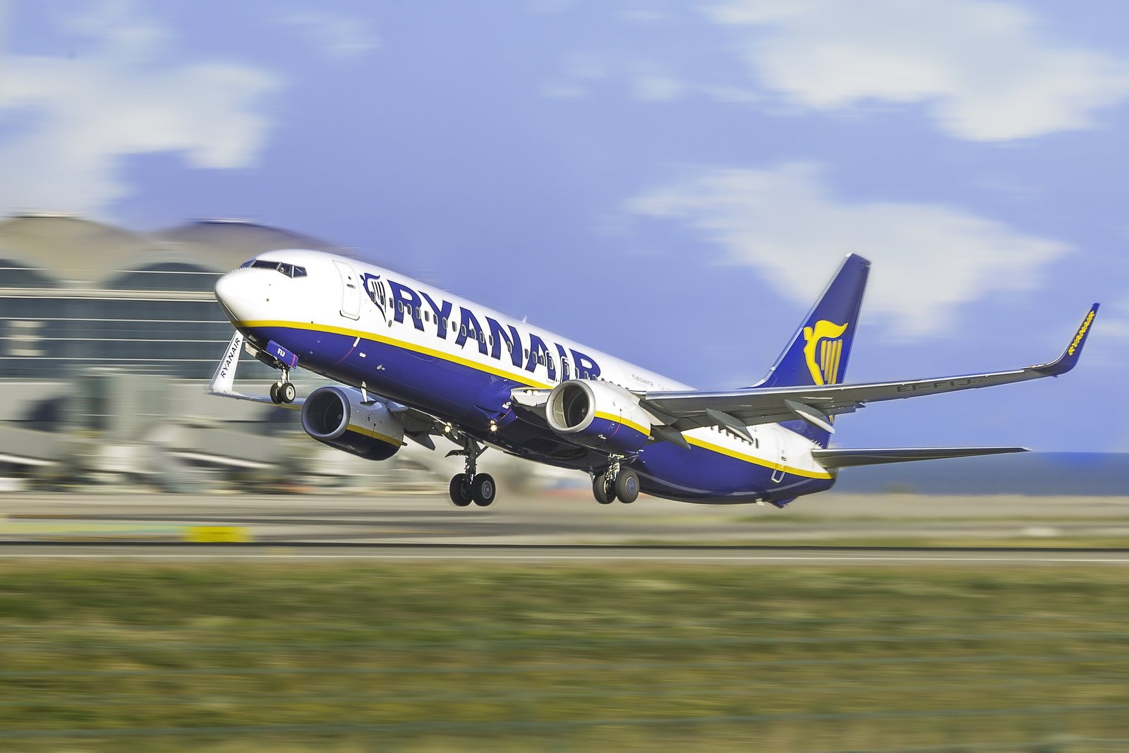 the plane