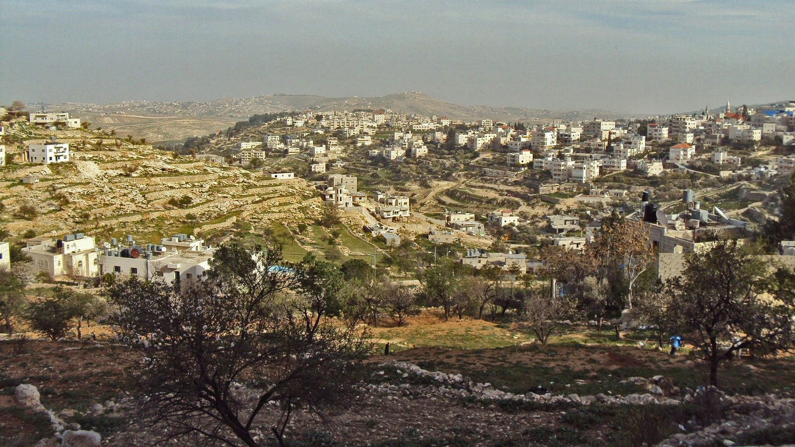 palestine
