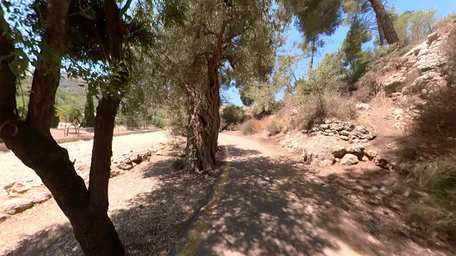 Screen Shot    at