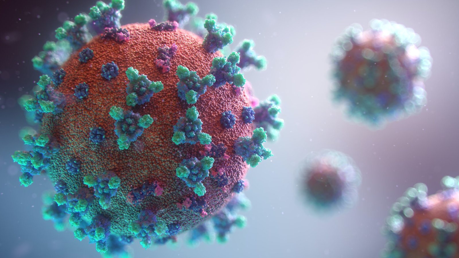 fusion medical animation rnrDFNUNY unsplash scaled