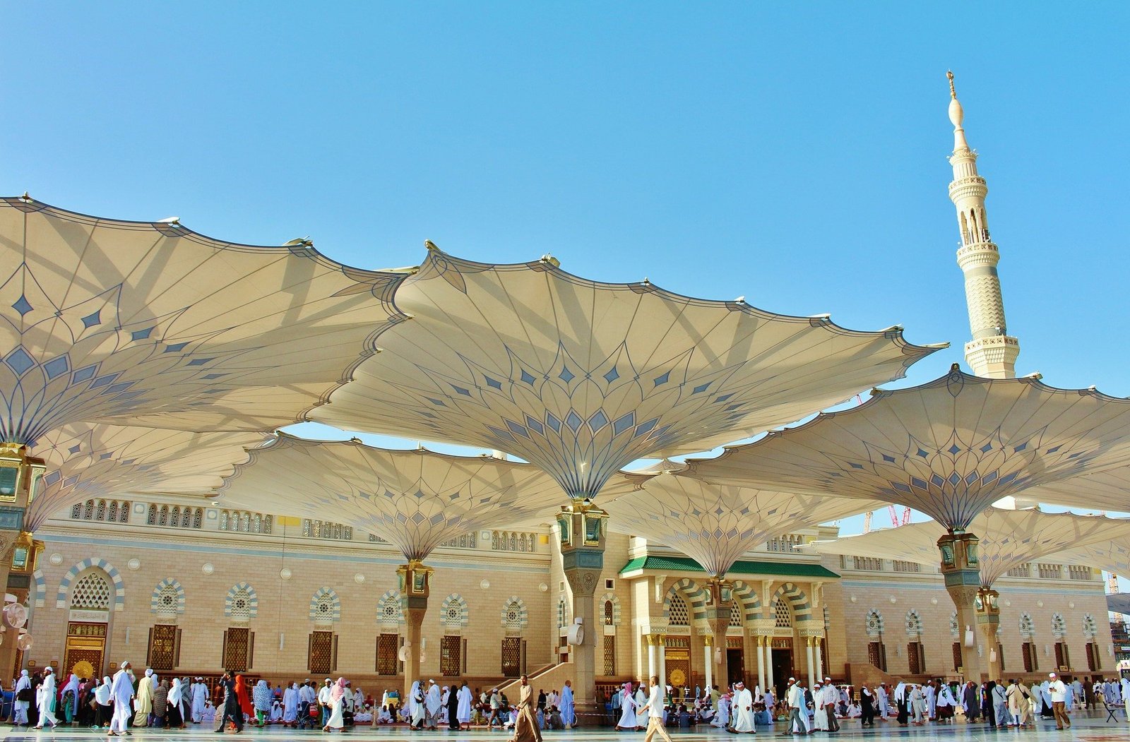 prophet