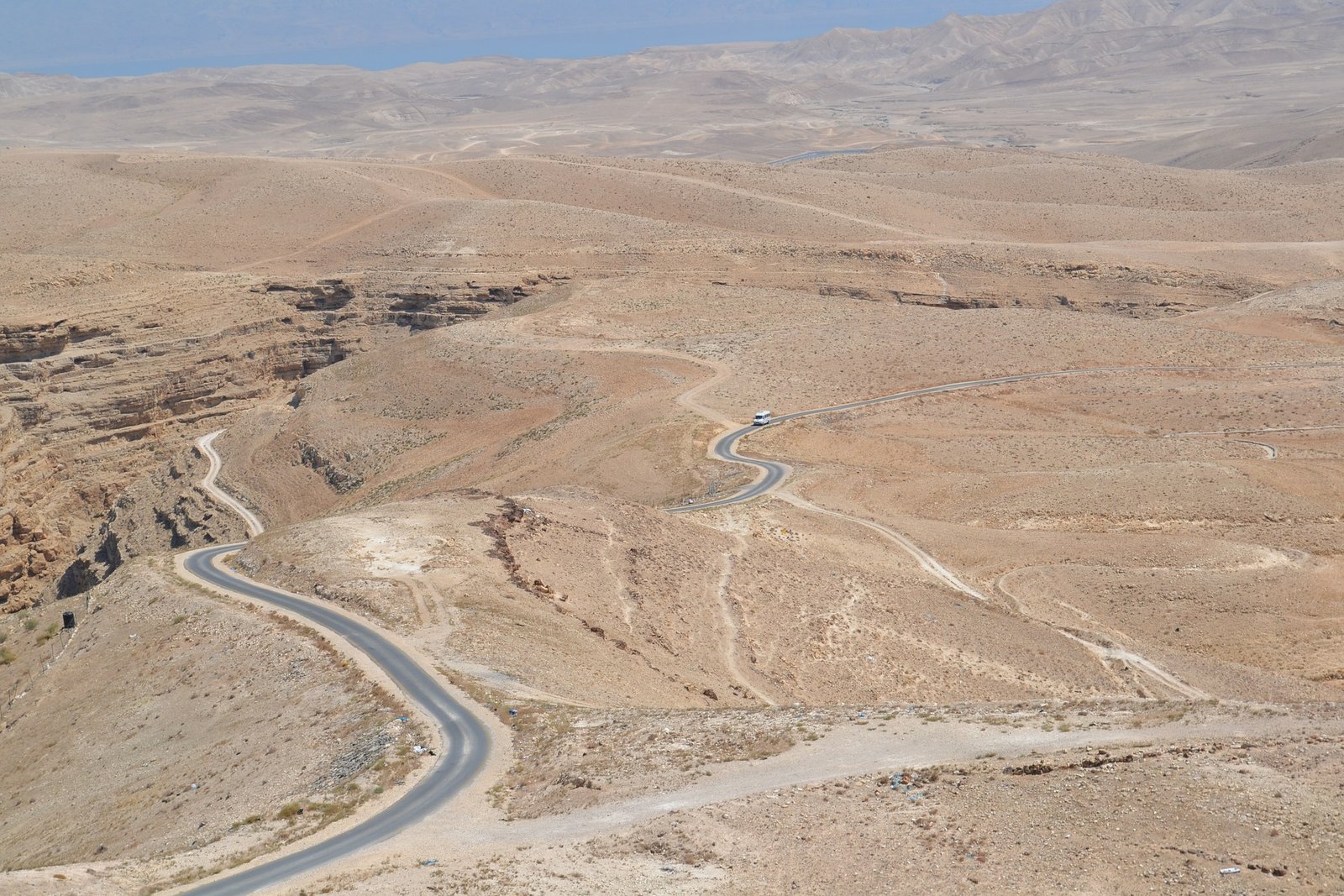 israel gaed