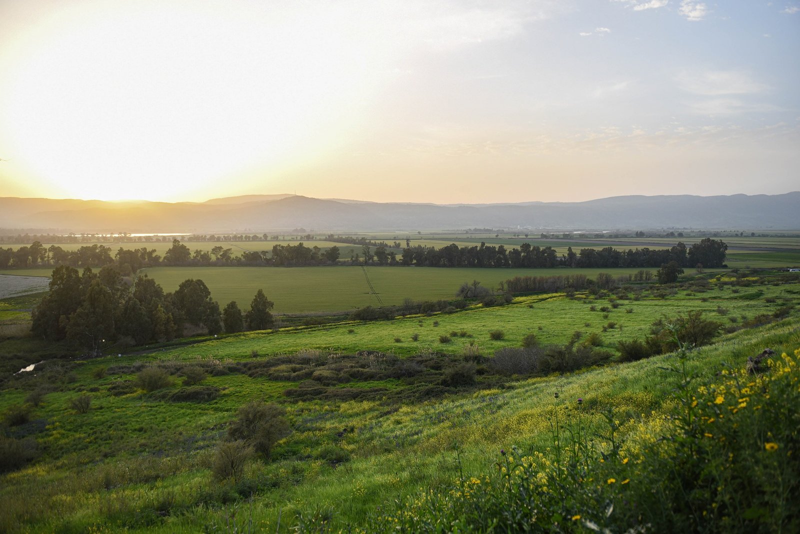 landscape