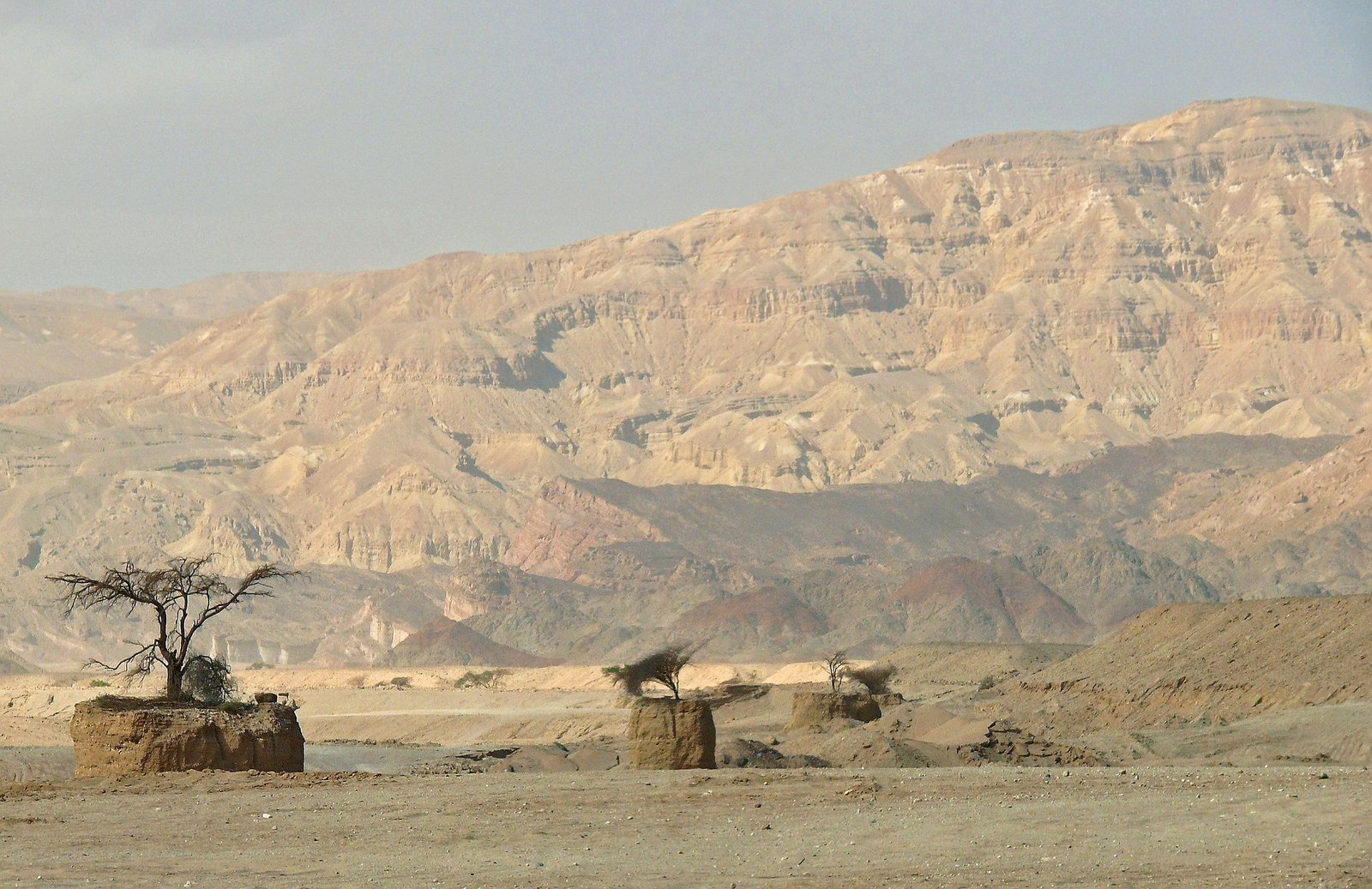 desert