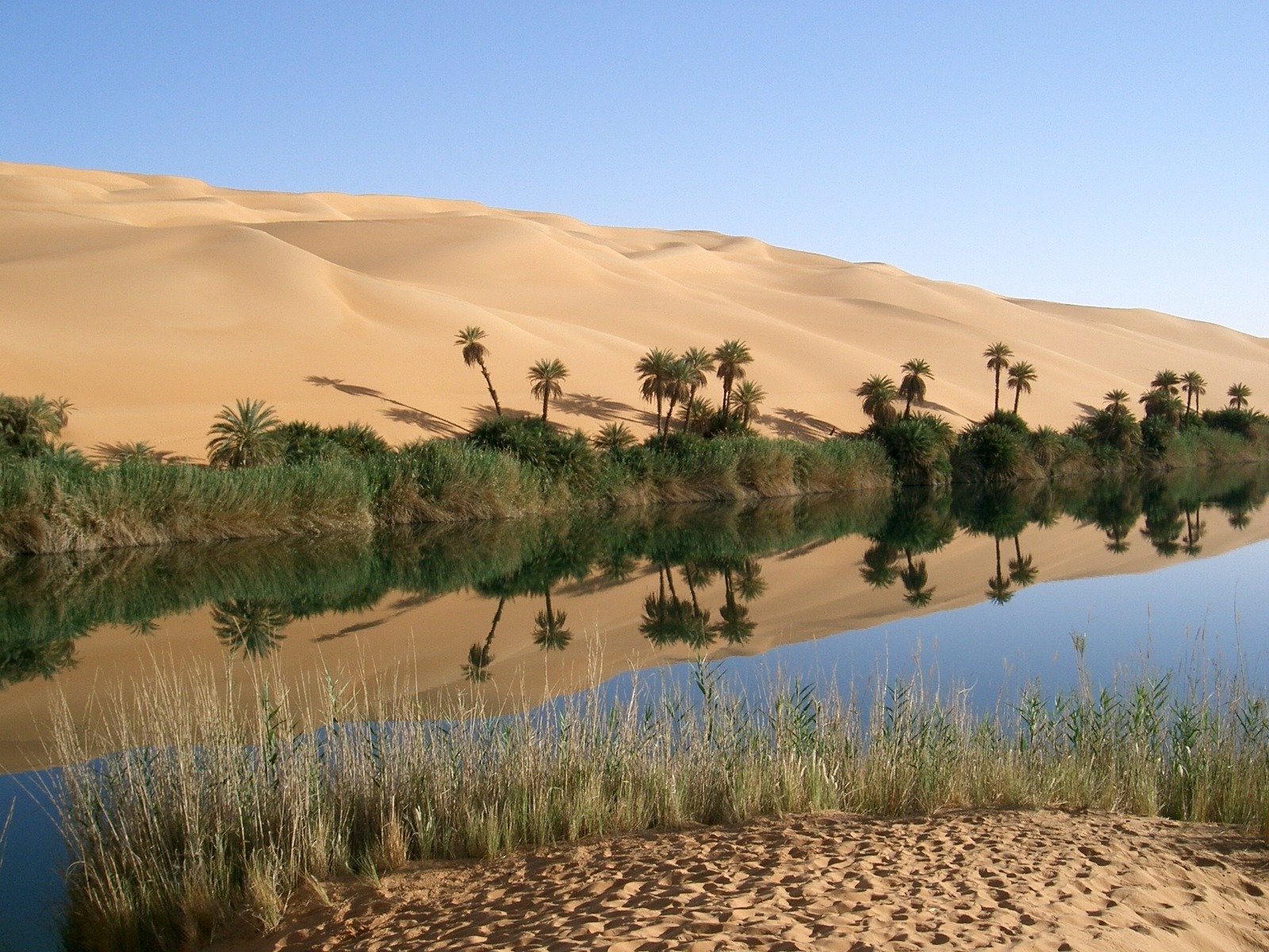 oasis