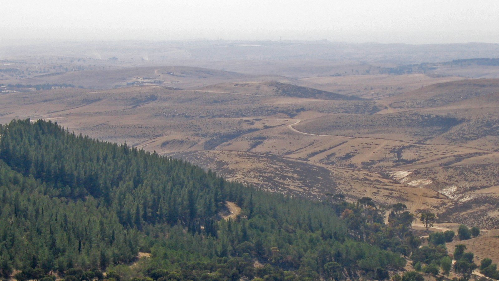 Yatir Forest Israel no