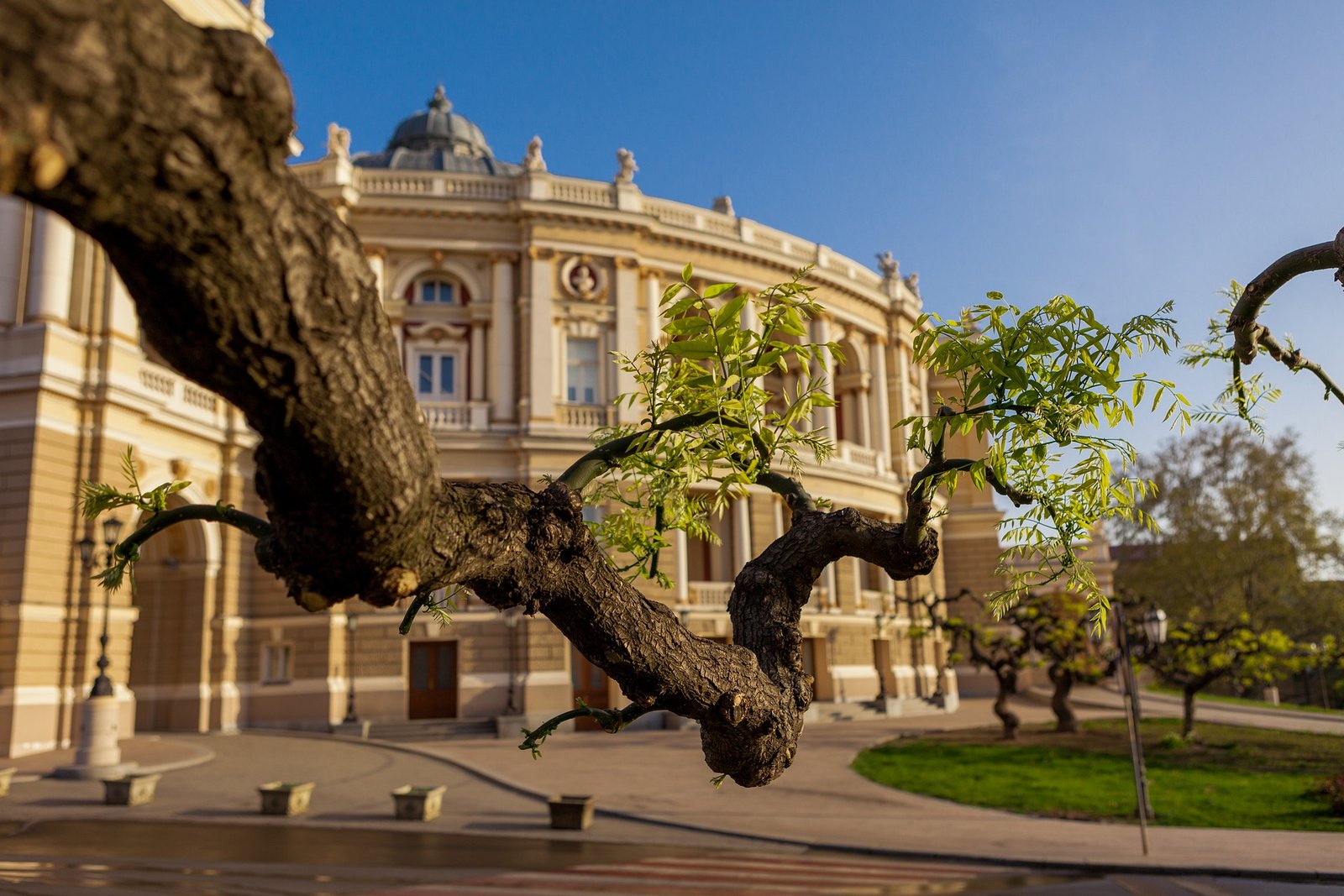 odessa opera