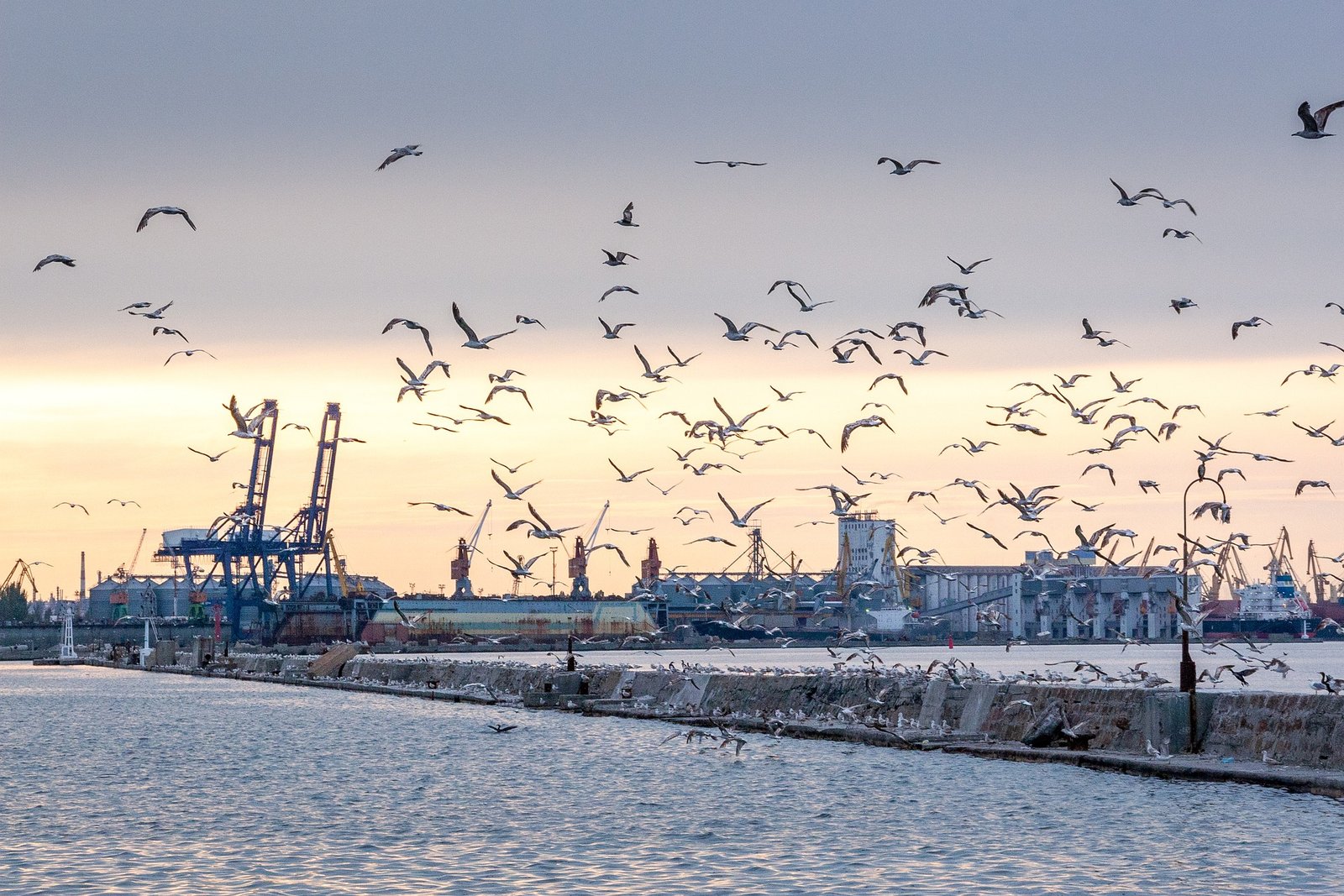 odessa