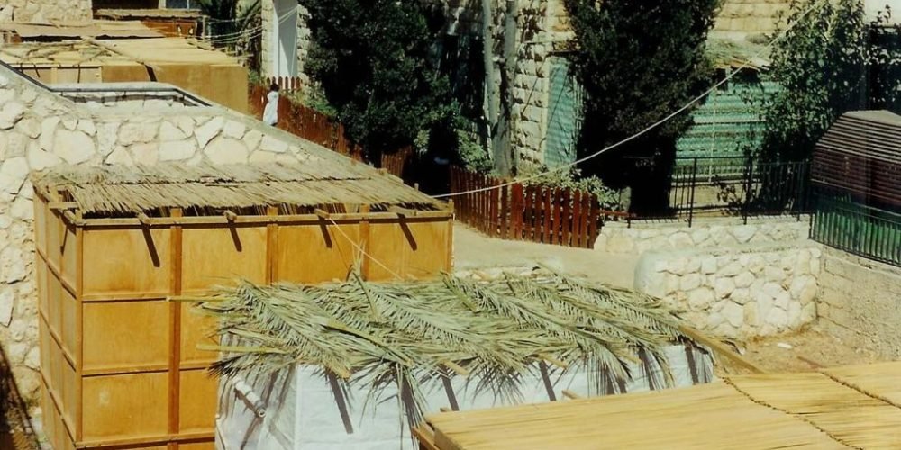 px Sukkah Roofs