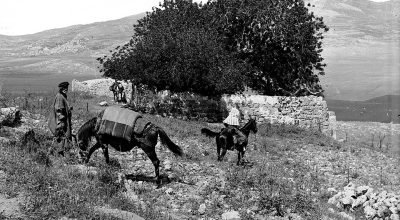 Colina de Finéias no começo do século XX