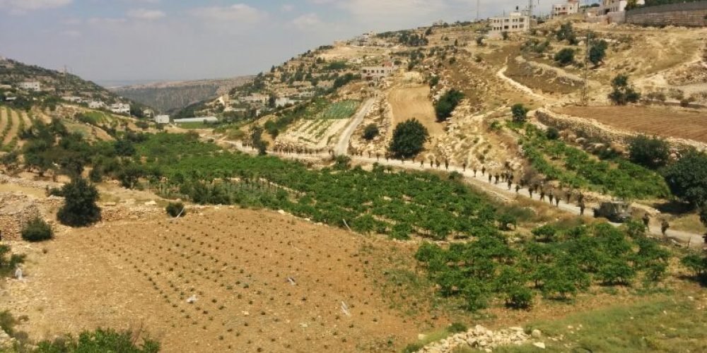 14300470860 5eca7d28b5 o