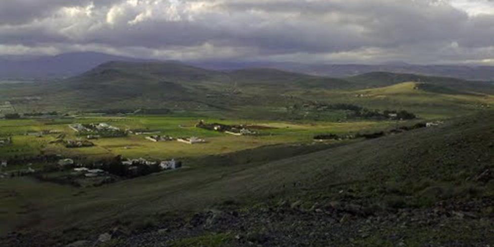 Al Kiswah farms