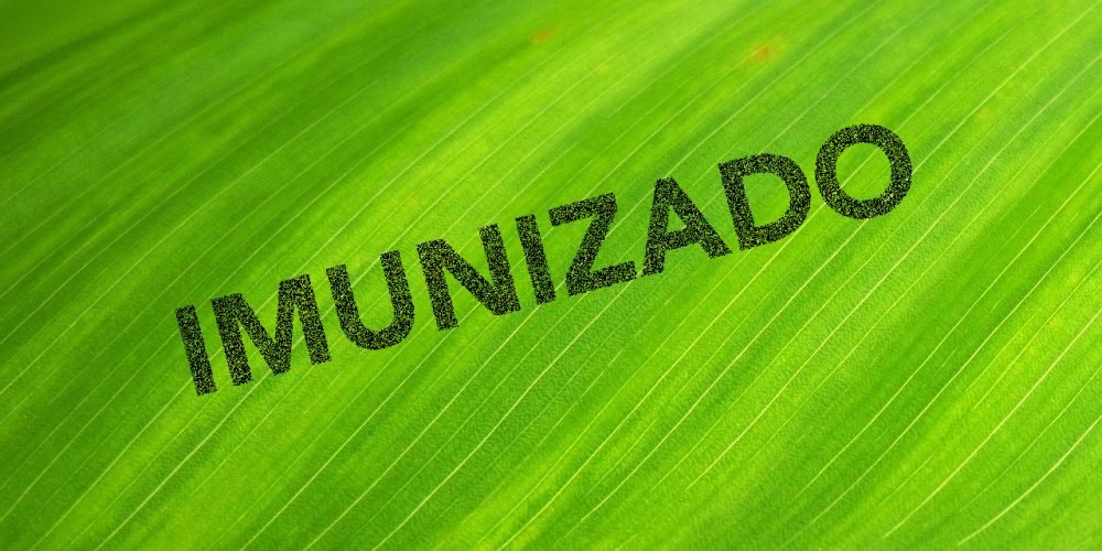 IMUNIZADO
