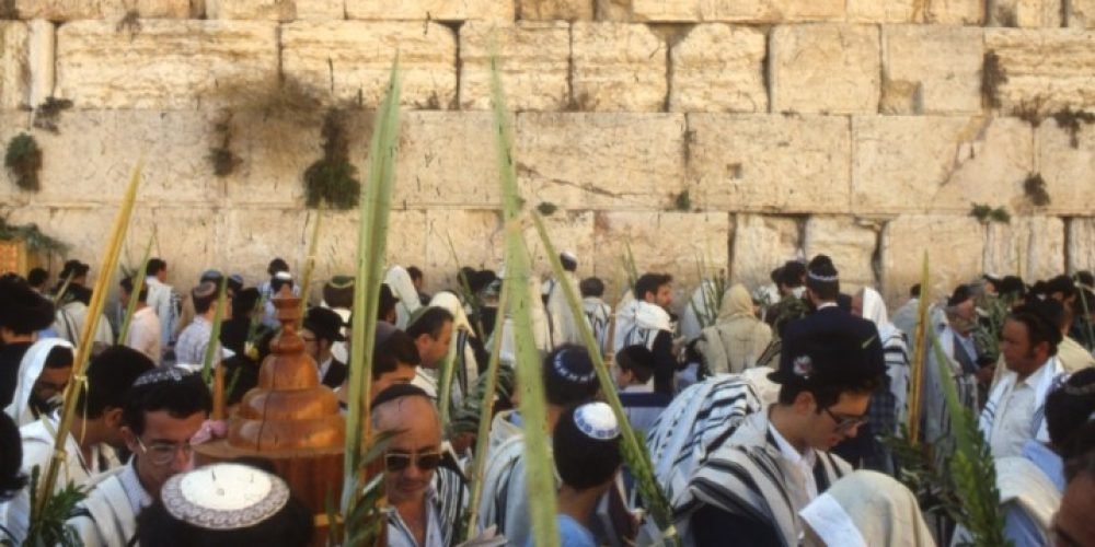 PikiWiki Israel  Western Wall in Jerusalem