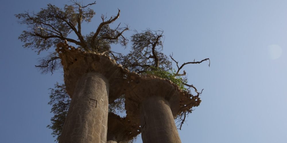 Pilares de Oliveiras