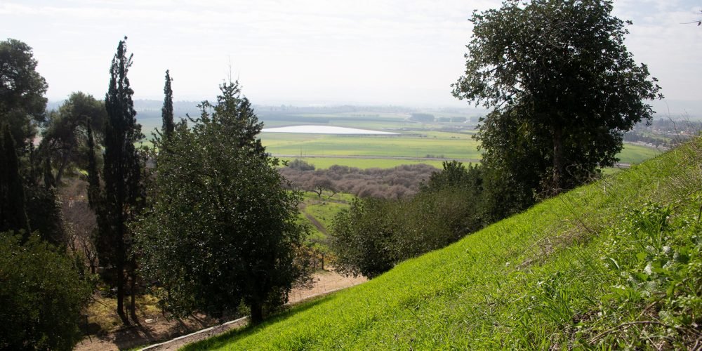 Shimron