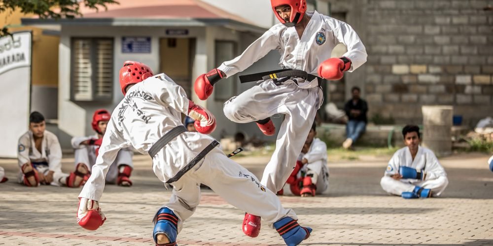 Taekwondo Ilustracao