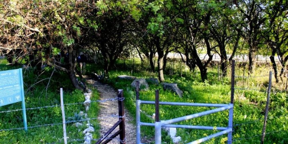 Tel Kedesh Cades Ramat Naftali Naftali Upper Galilee