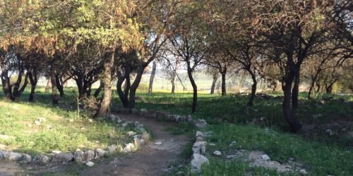 Tel Kedesh Programa a Biblia Viva