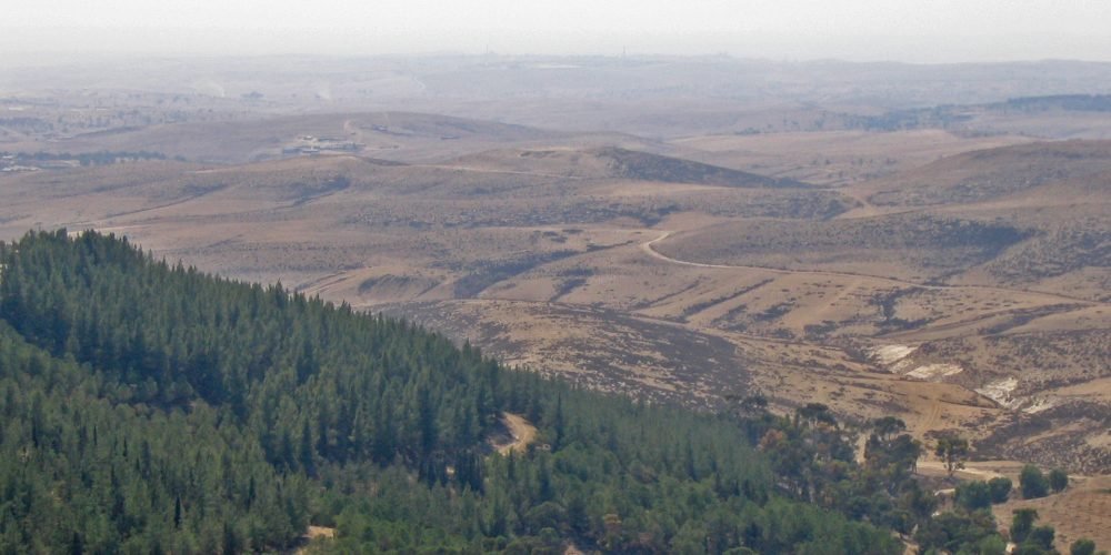 Yatir Forest Israel no