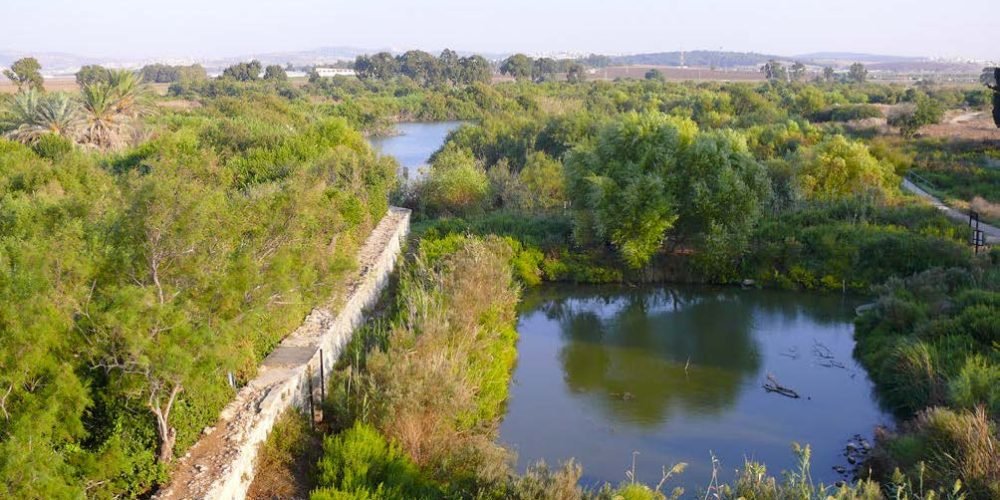 afek galilee