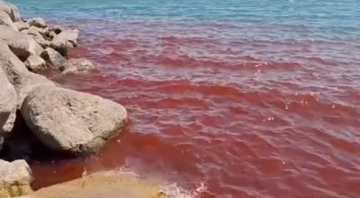 “Água em Sangue”, fenômeno raro, mas natural