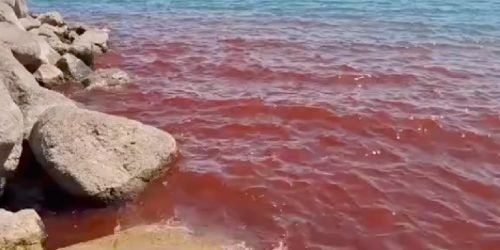 “Água em Sangue”, fenômeno raro, mas natural