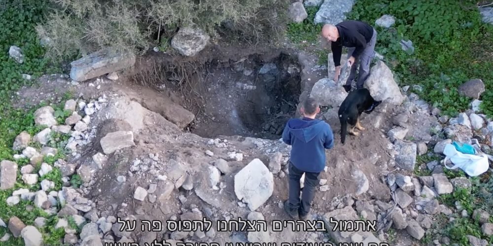 antiqueties autorithy criminal operation