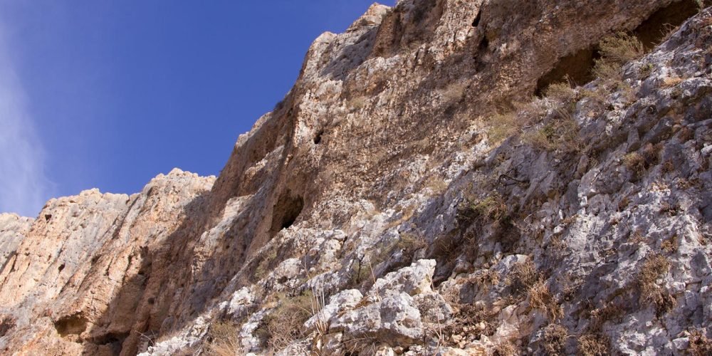 arbel cafetrah