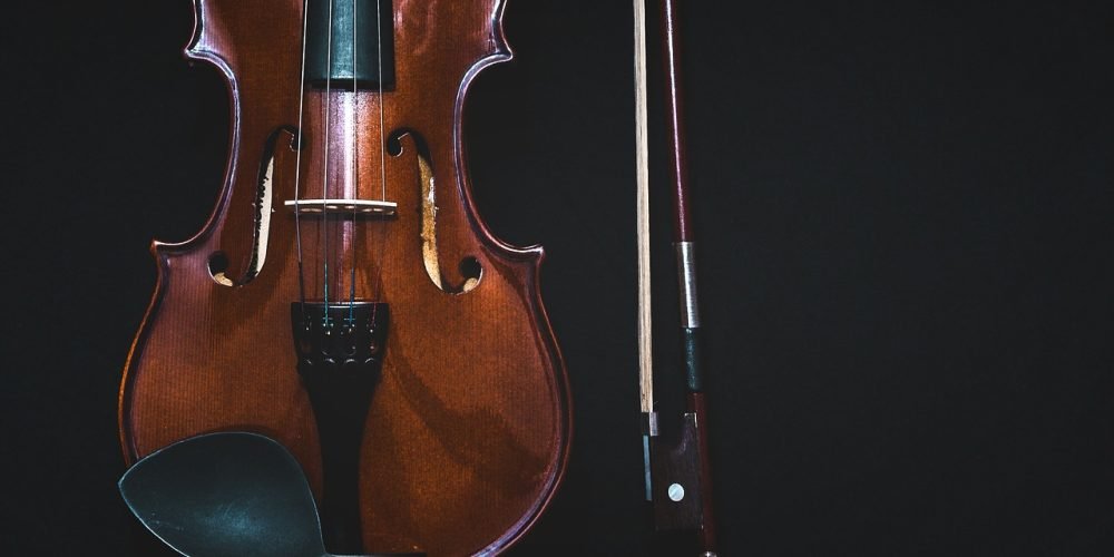 bowed instrument