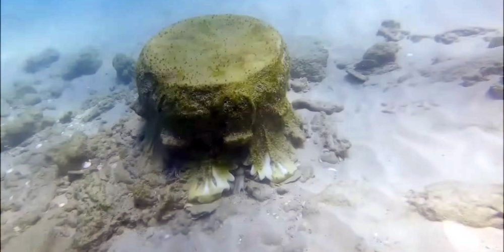 carga arquitetonica encontrada no fundo do mar