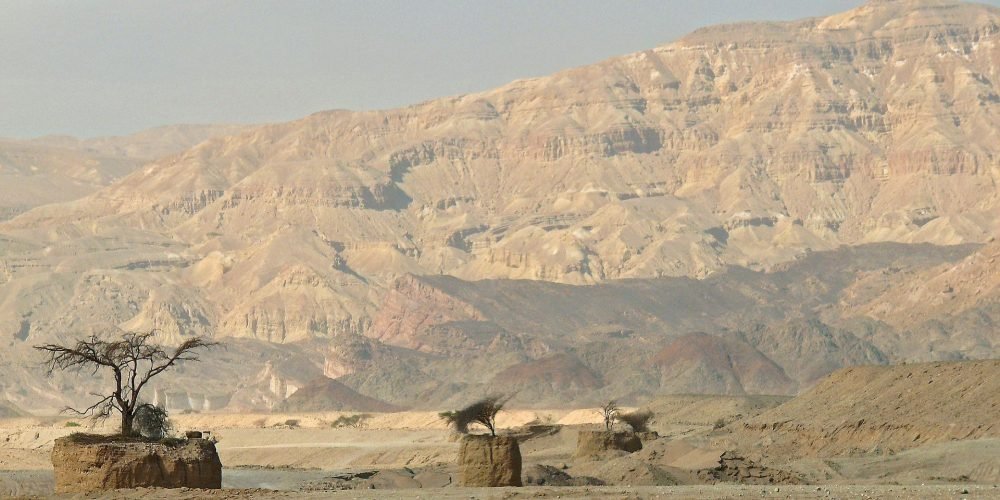 desert